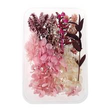 1 Box Real Mix Dried Flowers for Aromatherapy Candle Resin Jewellery Dry Plants Pressed Flower Making Craft DIY Accessor 2024 - buy cheap