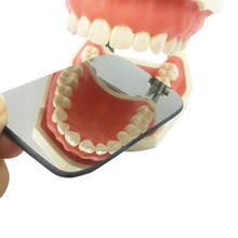 5 pces dental ortodôntico espelhos de dupla face refletor dental intra-oral vidro revestido espelhos de titânio 2024 - compre barato