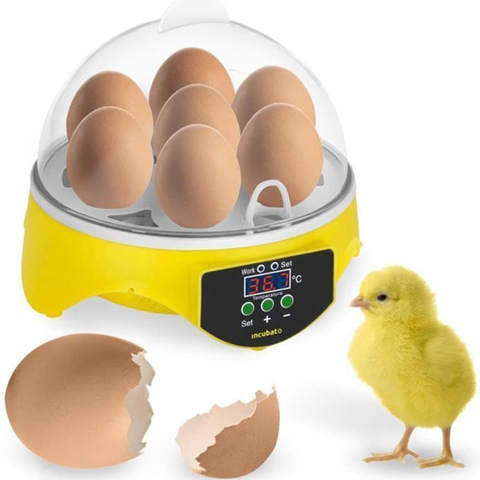 7 Eggs Chicken Bird Eggs Incubator Automatic Intelligent Quail Parrot Brooder For Household Animal Chicken Accessories Dropship Buy Cheap In An Online Store With Delivery Price Comparison Specifications Photos And Customer Reviews