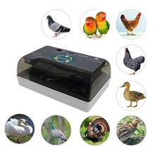 Fully Automatic 12 Eggs Incubator Digital Eggs Poultry Hatching Egg Turning Temperature and Humidity Control for Chickens Ducks 2024 - buy cheap
