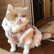 Luxury Sweet Cat Harness Jacket for Cats Winter Warm Pet Cat Clothes Gatos Katten Clothing Mascotas Kedi Coat Suit Cat Costume 2024 - buy cheap