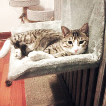 Кошка гамак съемный подоконник кошка гнездо удобная кровать для домашних животных кошка диван 2024 - купить недорого