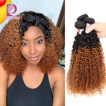 Racily Hair T1B/30 Ombre Peruvian Kinky Curly Hair Brown Ombre 100% Human Hair Extensions 1/3/4 Bundles Remy Hair Weave Bundles 2024 - buy cheap