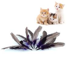5PCS High Quality Pet REFILLS for Bird feather Wand Cat Toy Interactive Toys Refill Home Drop Shipping Cat Toys 2024 - buy cheap