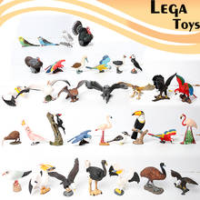 Figuras de animales realistas para niños, modelo educativo de tucán, avestruz, búho, flamenco, regalo de cumpleaños y Navidad 2024 - compra barato