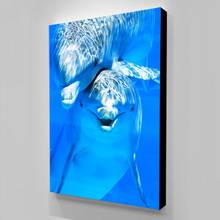 Модульные картины на холсте, милый Дельфин, синий домашний декор, картины с животными, современный Печатный постер для гостиной, настенное искусство без рамки 2024 - купить недорого