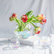 Jarrón redondo de vidrio para plantas hidropónicas, accesorios de decoración del hogar, decoración artística para sala de estar, adornos de mesa 2024 - compra barato