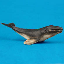 Sea Life-Sperm Whale, modelo de Animal de simulación de ballena gris, figuras de acción y juguetes, regalo educativo y de aprendizaje para niños 2024 - compra barato