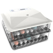 Евро вилка, 56 яиц автоматический инкубатор для яиц с ЖК-дисплеем Цифровой сельскохозяйственный инкубатор для фермы куриный расческа инкубатор для яиц 2024 - купить недорого