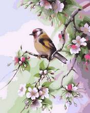 Frameless painting by numbers animals wall decor diy picture by numbers on canvas for home decor 4050cm bird on the tree 2024 - buy cheap