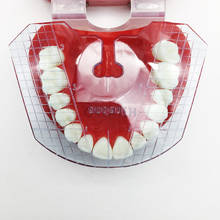Placa guia para dentes de laboratório dentário, arranjo de dentes em trabalho de dentaduras, 1 peça 2024 - compre barato