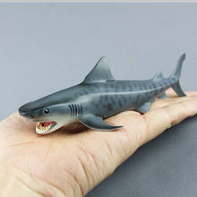 Simulação de animal marinho, brinquedo cognitivo para crianças, modelos de tubarão, animais de decoração para casa, bonecos de modelo de tubarão 2024 - compre barato