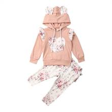 Baby Girl Newborn Autumn Clothing Hooded Long Sleeve Floral Tops Sweatshirt Ruffle Pants Outfit Clothes Tracksuit 2024 - buy cheap