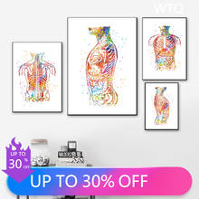 Настенная картина на холсте, скандинавский медицинский постер с изображением анатомии человека, тела и живота, украшение комнаты 2024 - купить недорого