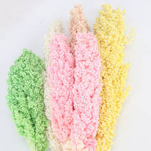 2 Pcs/set Natural Dried Flower Really Touch Sorghum Bundle Preserved Flower DIY Flower Wedding Floral Home Decoration 2024 - buy cheap