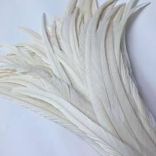 20-25CM Raw White / Off White Rooster Tails Feather 50PCS/Lot Chicken Feathers For Wedding Party Christmas Decorations Jewelry 2024 - buy cheap