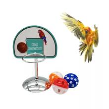 Pet Parrot Basketball Hoop Props Parakeet Bells Balls Puzzle Game Chew Play Toys Supplies For Parrots Lovebird Canaries 2024 - buy cheap