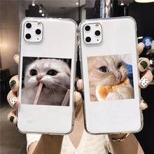 Capa de celular de tpu com desenho de gato e cachorro, capa de celular macia e transparente para iphone 12, 7, 8 plus, xs, xr, iphone 11 pro max se 2020, 6s 2024 - compre barato