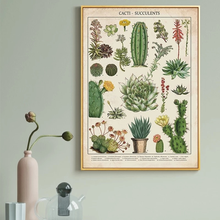 Modern Cacti and Succulents Canvas Painting Modern Wall Art Pictures Cuadros Posters and Prints Painting Living Room Home Decor 2024 - buy cheap