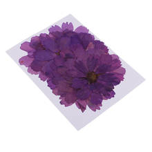 20 peças flores secas naturais coreopsis, flores artesanais prensadas em flores 2024 - compre barato