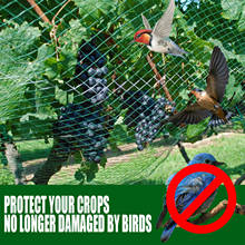 2x5/10m Extra Strong Anti Bird Netting Mesh Green Nylon Reusable Garden Plant Protection Against Birds Deer Fencing 2024 - buy cheap