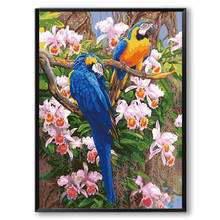 Full Square Round DIY Diamond Painting Animals Parrot Diamond Embroidery Cross Stitch Mosaic Picture Of Rhinestone Decor Home 2024 - buy cheap