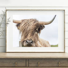 Highland Cow Wall Art Canvas Painting Animal Posters And Prints Nordic Decoration Wall Pictures For Living Room Home Decor 2024 - buy cheap