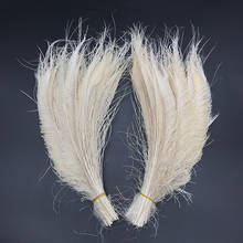 Espada de plumas de pavo real blanco, decoración de celebración, tamaño simétrico de 30-35cm, 12-14 pulgadas, 10 Uds., venta al por mayor 2024 - compra barato