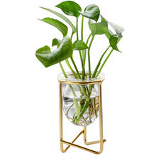 Nordic Modern Glass Hydroponics Transparent Plants Holder Flower Vase Desk Decoration Flower Pots Home Decor Crafts Fairy Garden 2024 - buy cheap
