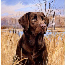 Animal Dog Labrador DIY 11CT Embroidery Cross Stitch Kits Needlework Craft Set Printed Canvas Cotton Thread Home     Sell 2024 - buy cheap