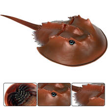 New Children's Marine Animal World Model Chinese Horseshoe Crab American Horseshoe Crab American Horseshoe Crab Toy Ornaments 2024 - buy cheap