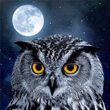 Diamond Painting Kits Owl Cross Stitch Embroidery Animals Full Round With AB Drill Crystal Mosaic Painting Decoration Home Gift 2024 - buy cheap