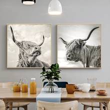 Черно-белый Highland Cow Wild картина с рисунком животных современные плакаты и принты настенные картины для гостиной домашний декор 2024 - купить недорого