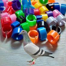 ( Pack of 100 Pcs ) ，Bird Rings Multicolor Colorful Leg Bands for Pigeon Parrot Finch Canary Hatch Chicks Bantam Poultry Bayonet 2024 - buy cheap