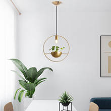 Modern Gold Single Ring Pendant Lights DIY Plant Led Hanging Lamp Dining Room Bedroom Lighting Fixtures Home Decor Luminaire E27 2024 - buy cheap