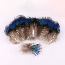 20/100Pcs wholesale DIY Peacock Feathers Wedding Party Decoration Natural Feathers Plume hair Crafts Christmas home accessories 2024 - buy cheap