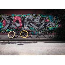 Photography Background Graffiti Wall Bicycle Street Computer Printed Backdrop for Baby Children Party Photoshoot Photo Studio 2024 - buy cheap
