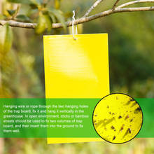 Armadilha de moscas fortes, placa pegajosa para pegar insetos afid e controle de pestes, adesivo para jardim com 10/peças 2024 - compre barato