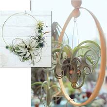 12/10Pcs Hanging Circle Rings DIY Garden Plant Dream Catcher Rings Floral Hoop Craft For Wedding Decor 2024 - buy cheap