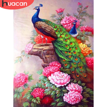 HUACAN-pintura con diamantes de pavo real, mosaico bordado con diamantes de peonía, Kits completos de decoración del hogar, arte de pared 2024 - compra barato