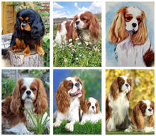 Pintura de diamante 5d Diy de Cavalier King Charles Spaniel, Kit de punto de cruz, bordado de diamantes de imitación cuadrados y redondos, imagen de mosaico 2024 - compra barato