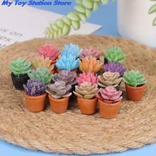 5pcs 1:12 Dollhouse Miniature Mini Potted Succulent Plant Model Accessories ZTOYL 2024 - buy cheap