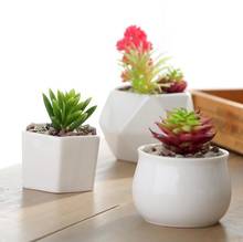 Vaso de cerâmica branco simples, vaso de flores suculentas, vaso de flores pequenas de várias formas, decoração de mesa de casa 2024 - compre barato