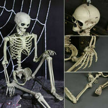 New Hot Halloween Poseable Human Skeleton Full Life Size 40cm Party Decoration Prop 2024 - buy cheap