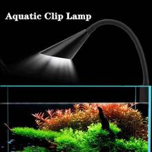 Luz LED impermeable para acuario, lámpara con Clip para reptiles, decoración para acuarios, iluminación para plantas 2024 - compra barato