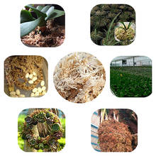 Spregnum-musgo de 6L para jardín, nutrición hidratante, fertilizante orgánico para orquídeas, Phalaenopsis 2024 - compra barato