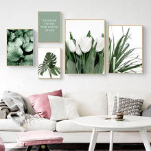 Tulipa branca orquídea verde aloe monstera planta pintura da lona nordic posters e impressões arte da parede fotos para sala de estar cuadros 2024 - compre barato