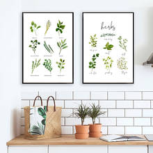 Póster con estampado de hierbas en lienzo, pintura en lienzo con acuarela, albahaca, orégano, salvia, Cilantro, imagen botánica, decoración artística de pared de cocina 2024 - compra barato