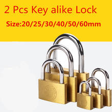 2 Pcs Same Key Copper Padlock Wolf Head Brass Small Locks Door  20mm 25mm 30mm 40mm Not Rust Lock Core Include 6 Keys 2024 - buy cheap