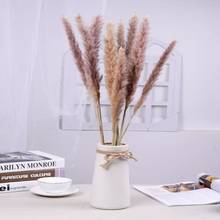 10pcs Pampas Grass Small Reed Dried Flower Home Indie Room Decor Preserved ArtificialPlants DIY Bouqut For Wedding Party Deco 2024 - buy cheap